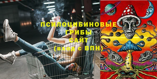 кокс Костерёво