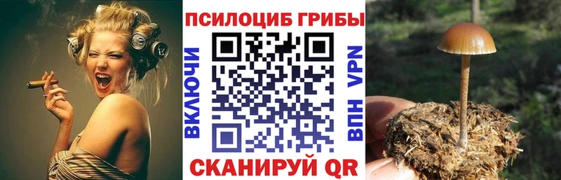 Галлюциногенные грибы Magic Shrooms  Купить где  Саяногорск 