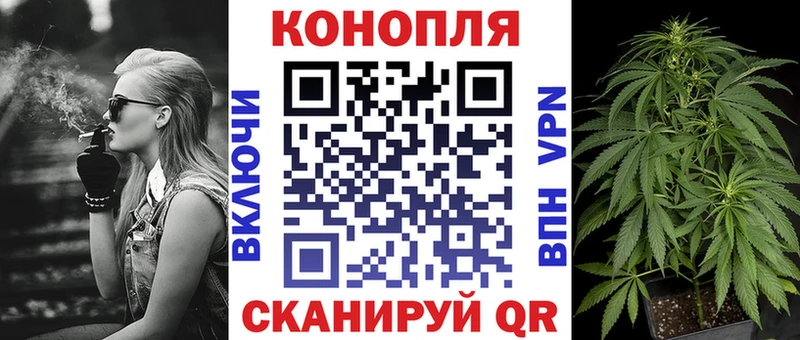 Купить где  Саяногорск  Шишки марихуана SATIVA & INDICA 